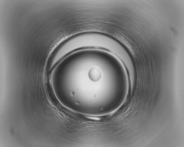 X0000116350676200912011411