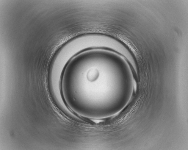 X0000116350677200912011411