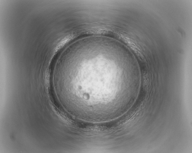 X0000116350679200912011411