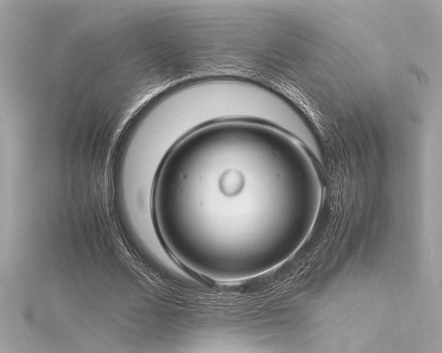 X0000116350680200912011411