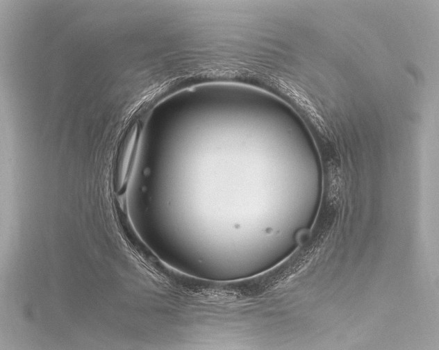 X0000116350681200912011411