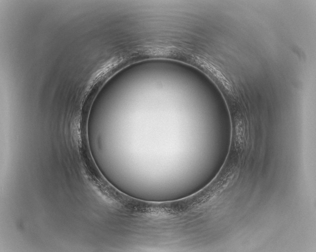 X0000116350682200912011411