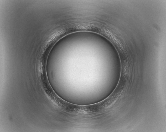 X0000116350683200912011411