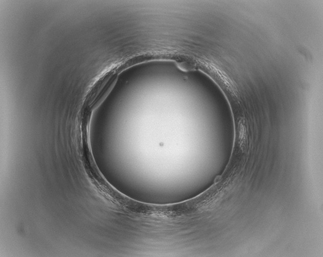 X0000116350684200912011411