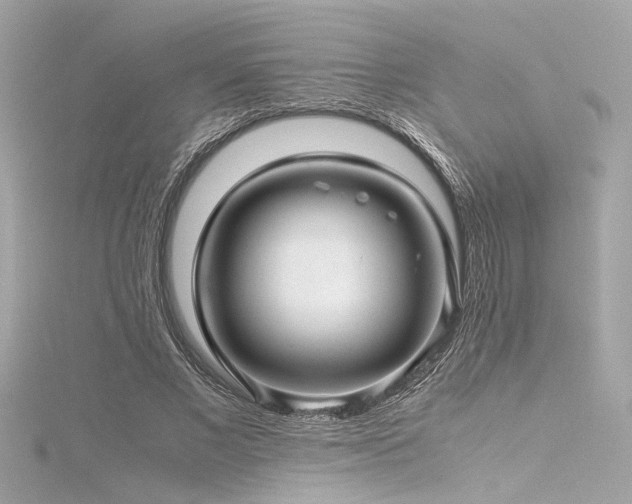 X0000116350685200912011411