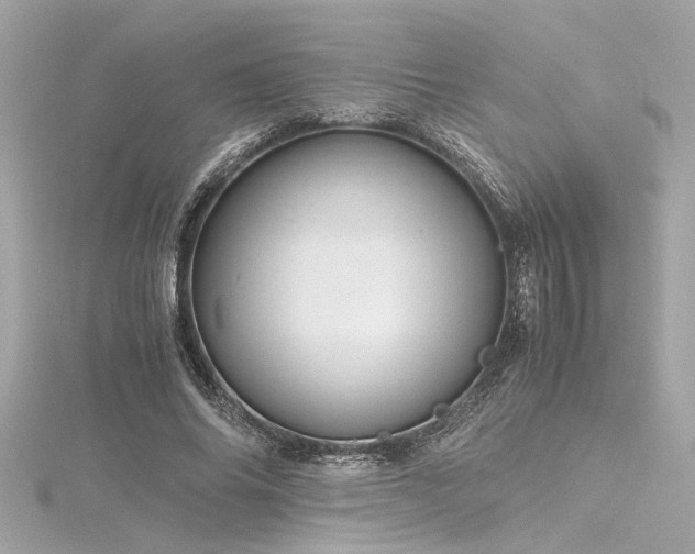 X0000116350686200912011411