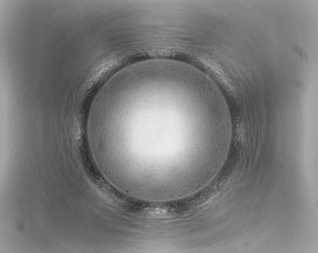 X0000116350687200912011411