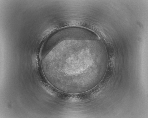 X0000116350688200912011411