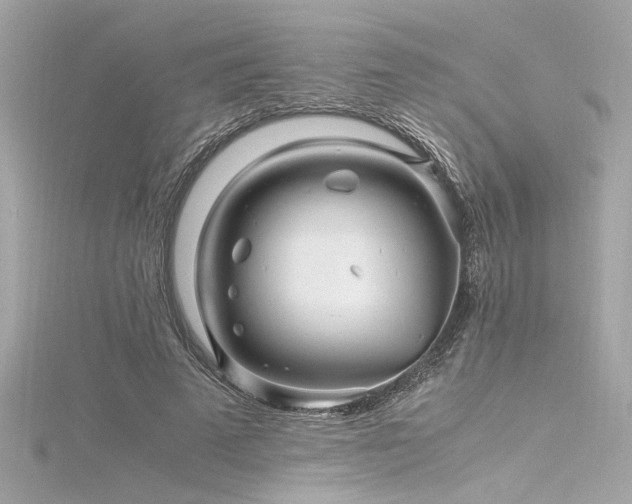 X0000116350689200912011411