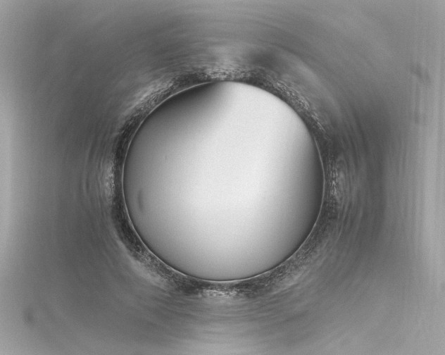 X0000116350690200912011411