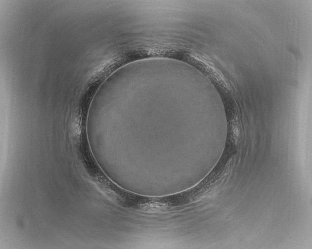 X0000116350691200912011411