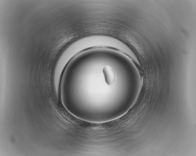 X0000116350692200912011411