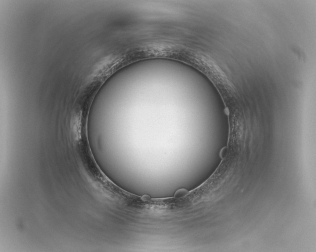 X0000116350694200912011411