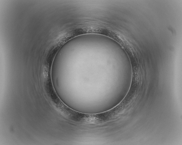 X0000116350695200912011411