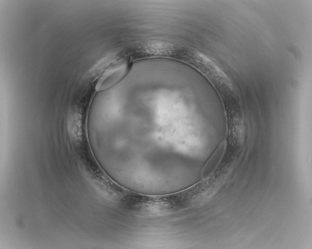 X0000116350696200912011411