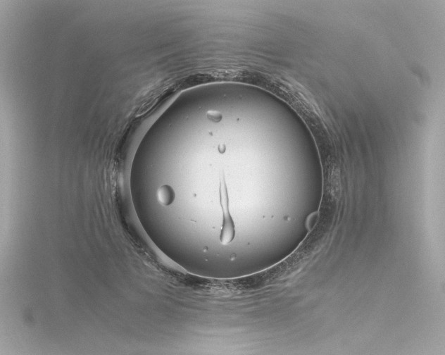 X0000116350697200912011411