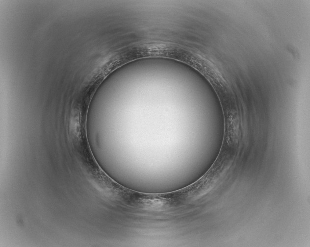 X0000116350698200912011411