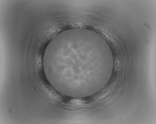 X0000116350699200912011411