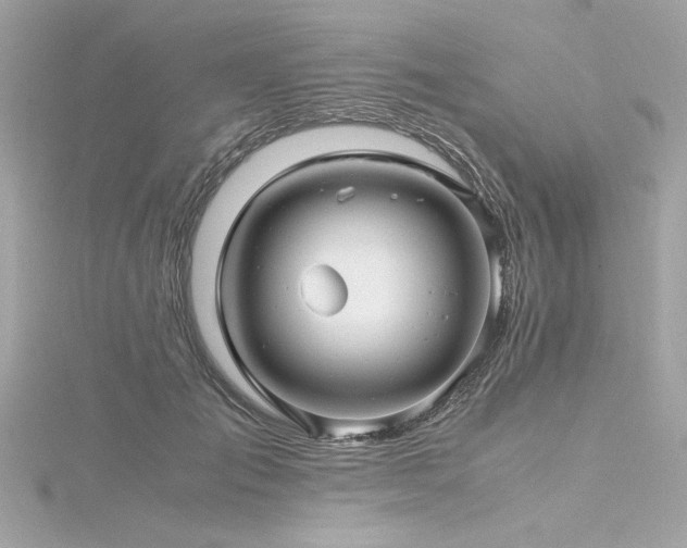 X0000116350701200912011410