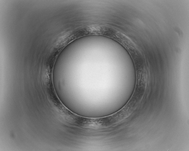 X0000116350702200912011410