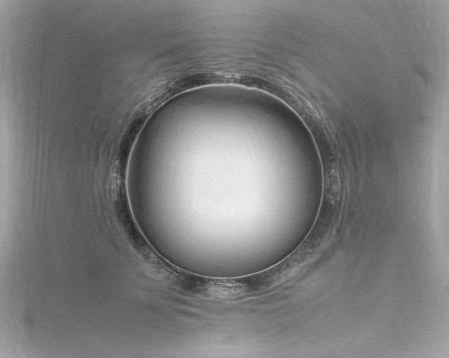 X0000116350707200912011410