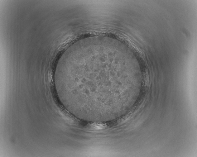 X0000116350711200912011410