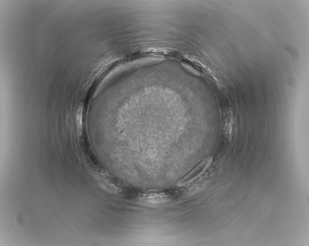 X0000116350716200912011410