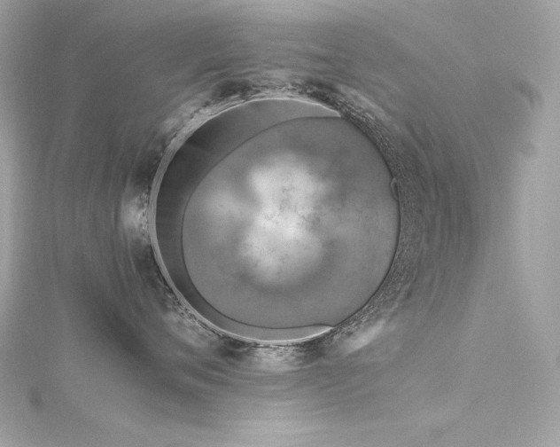 X0000116350720200912011410