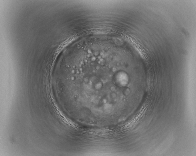 X0000116350721200912011410