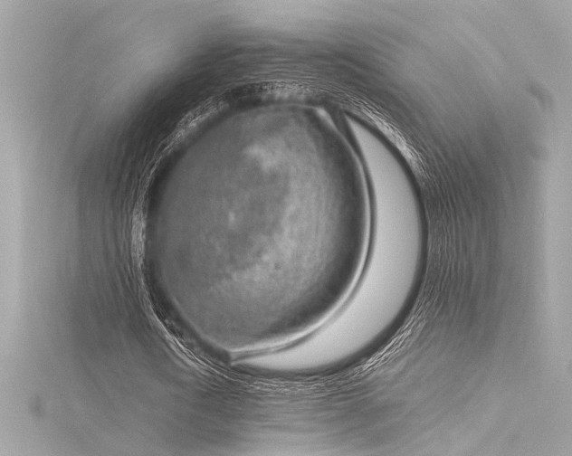 X0000116350722200912011410