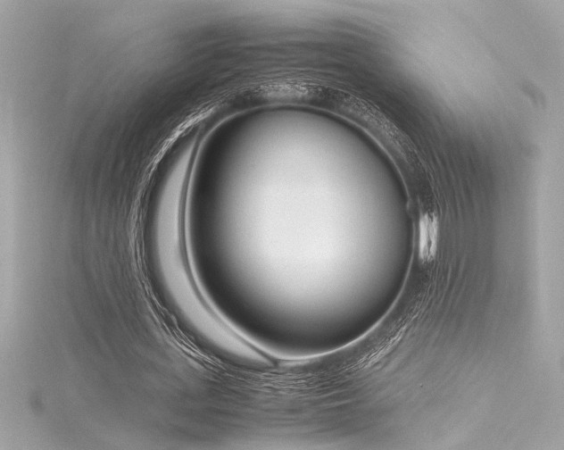 X0000116350723200912011410