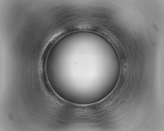 X0000116350727200912011410