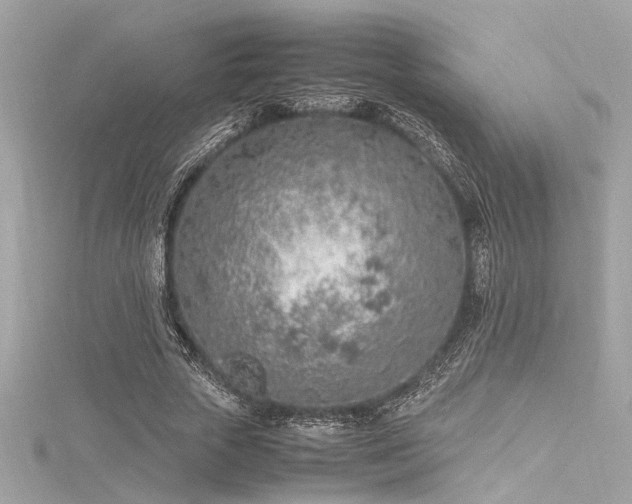 X0000116350729200912011410