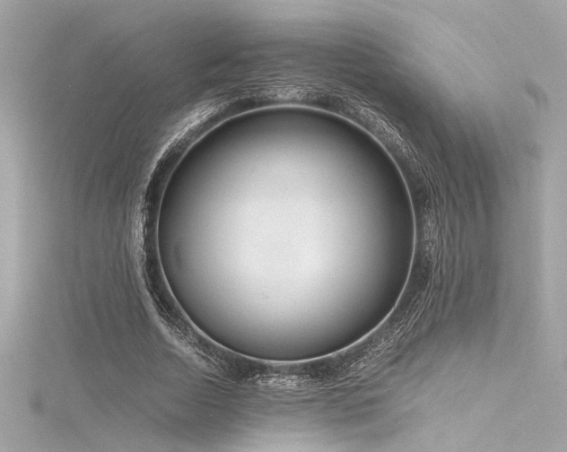 X0000116350730200912011410