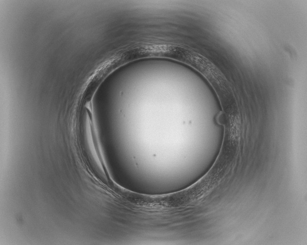 X0000116350731200912011410