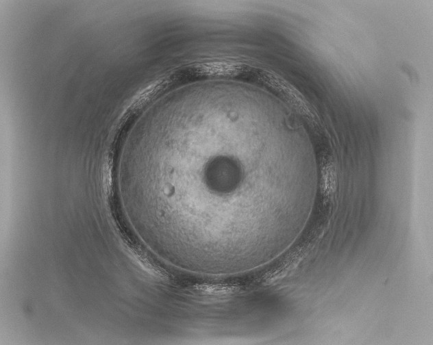 X0000116350733200912011410