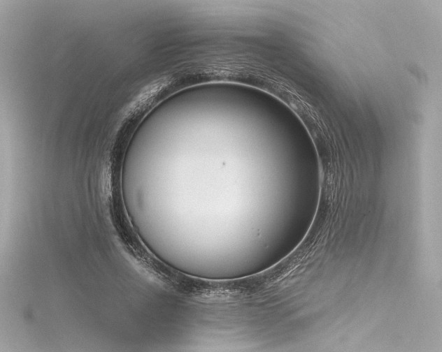 X0000116350734200912011410