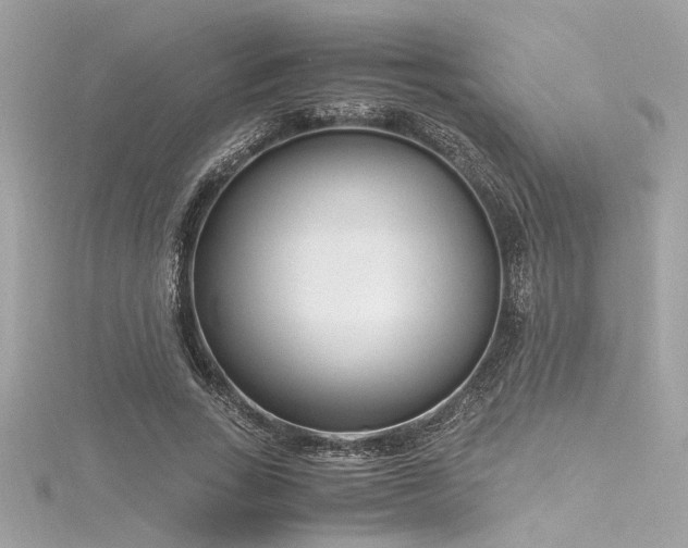 X0000116350735200912011410