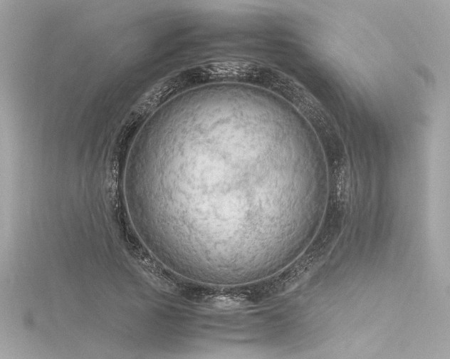 X0000116350737200912011410