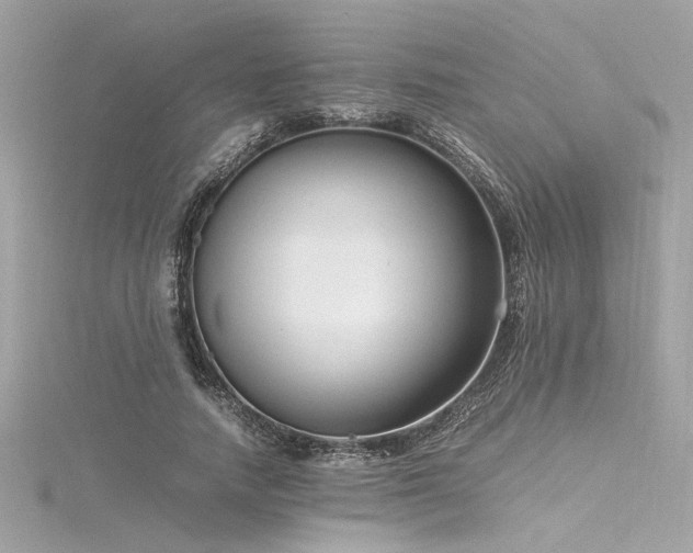 X0000116350738200912011410