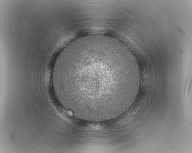 X0000116350742200912011410