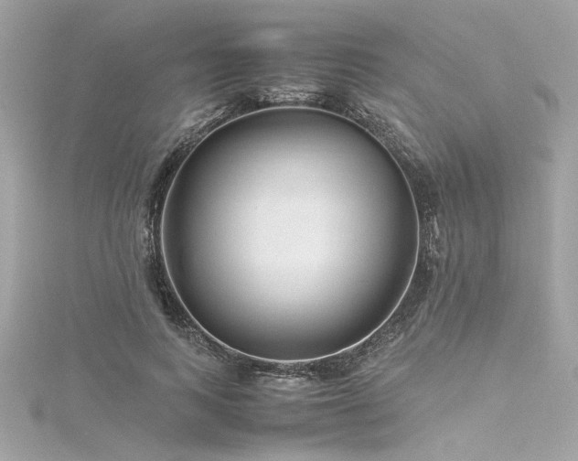 X0000116350743200912011410