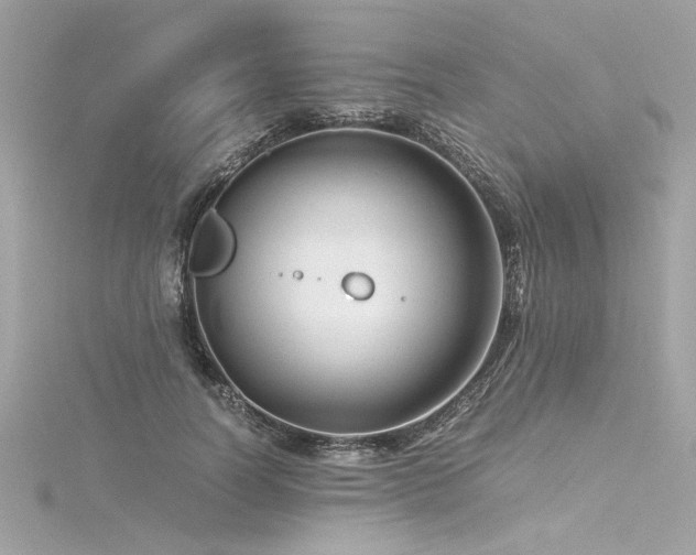 X0000116350746200912011410