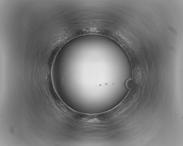 X0000116350747200912011410