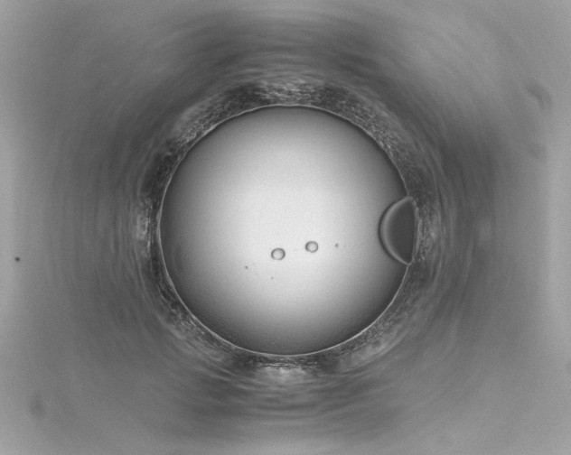 X0000116350749200912011410