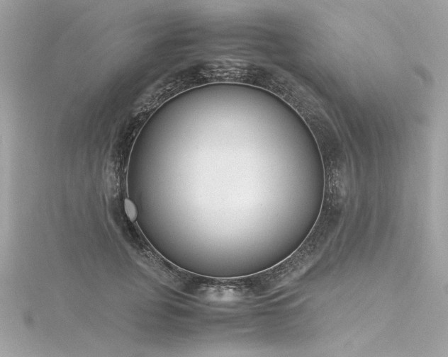 X0000116350751200912011410