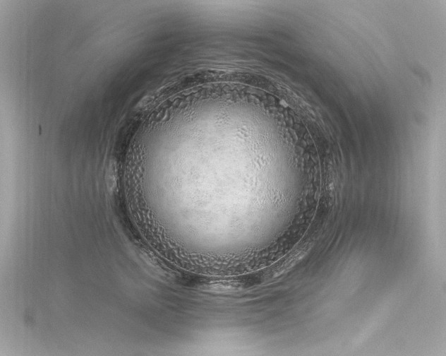 X0000116350758200912011410