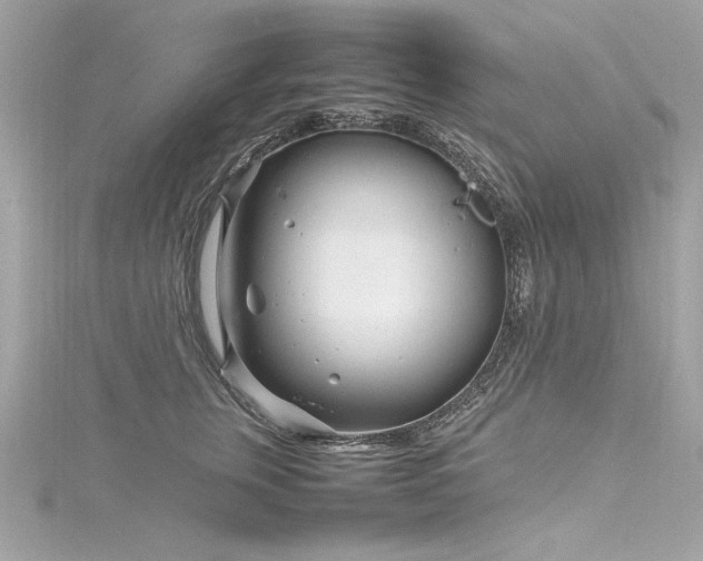 X0000116350759200912011410