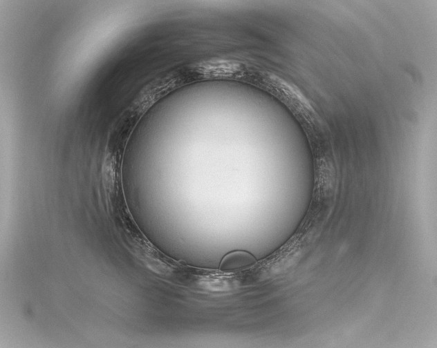 X0000116350761200912011410