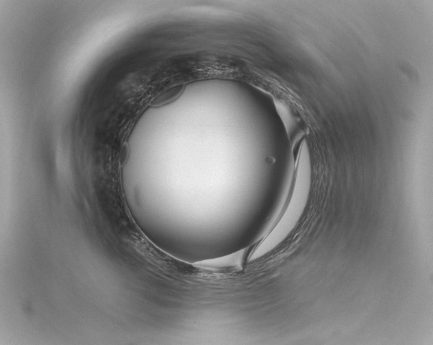 X0000116350762200912011410